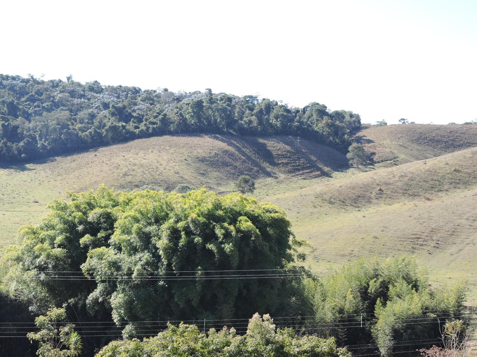 Pousada Vista Verde Cunha Oda fotoğraf