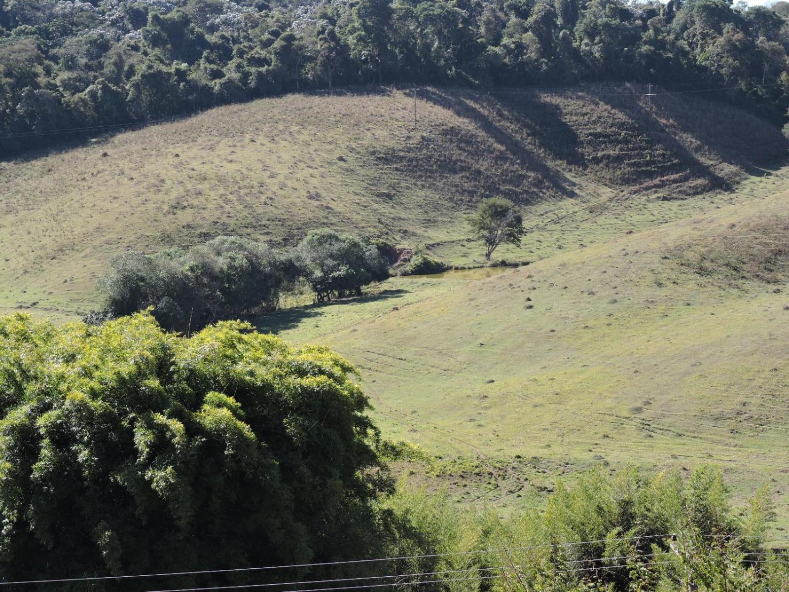 Pousada Vista Verde Cunha Oda fotoğraf