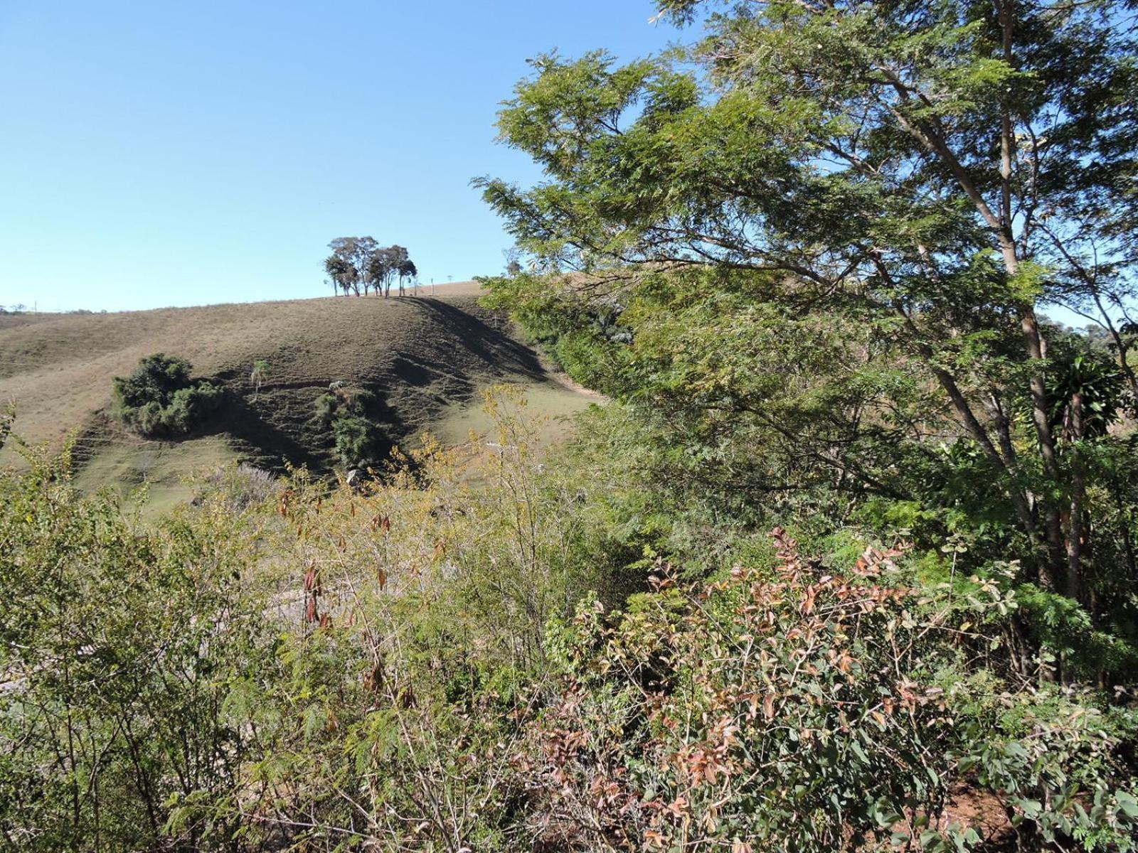Pousada Vista Verde Cunha Oda fotoğraf